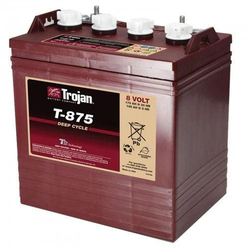 Trojan Tractions Öppna 8v 170Ah